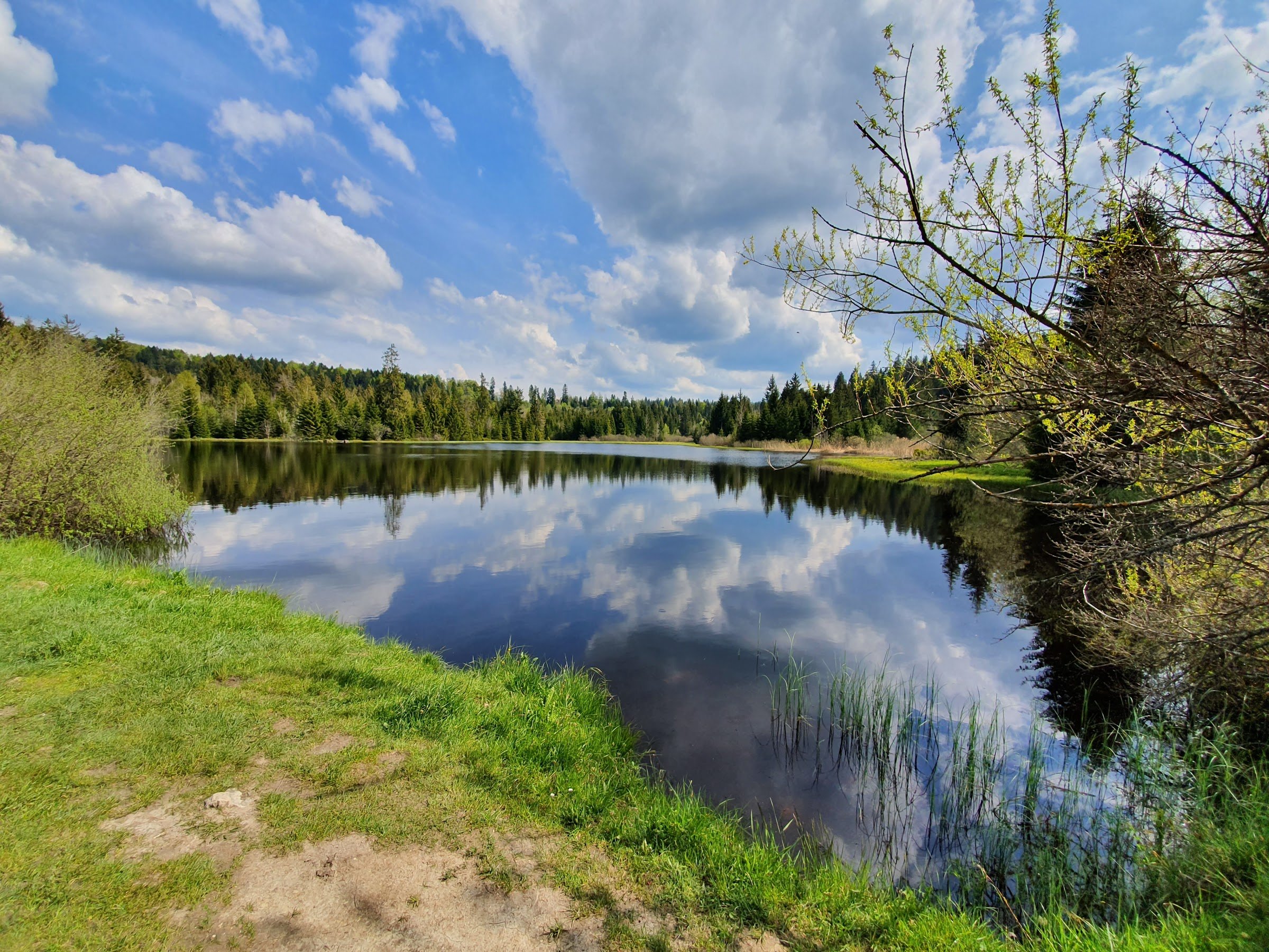 Camping Saignelégier